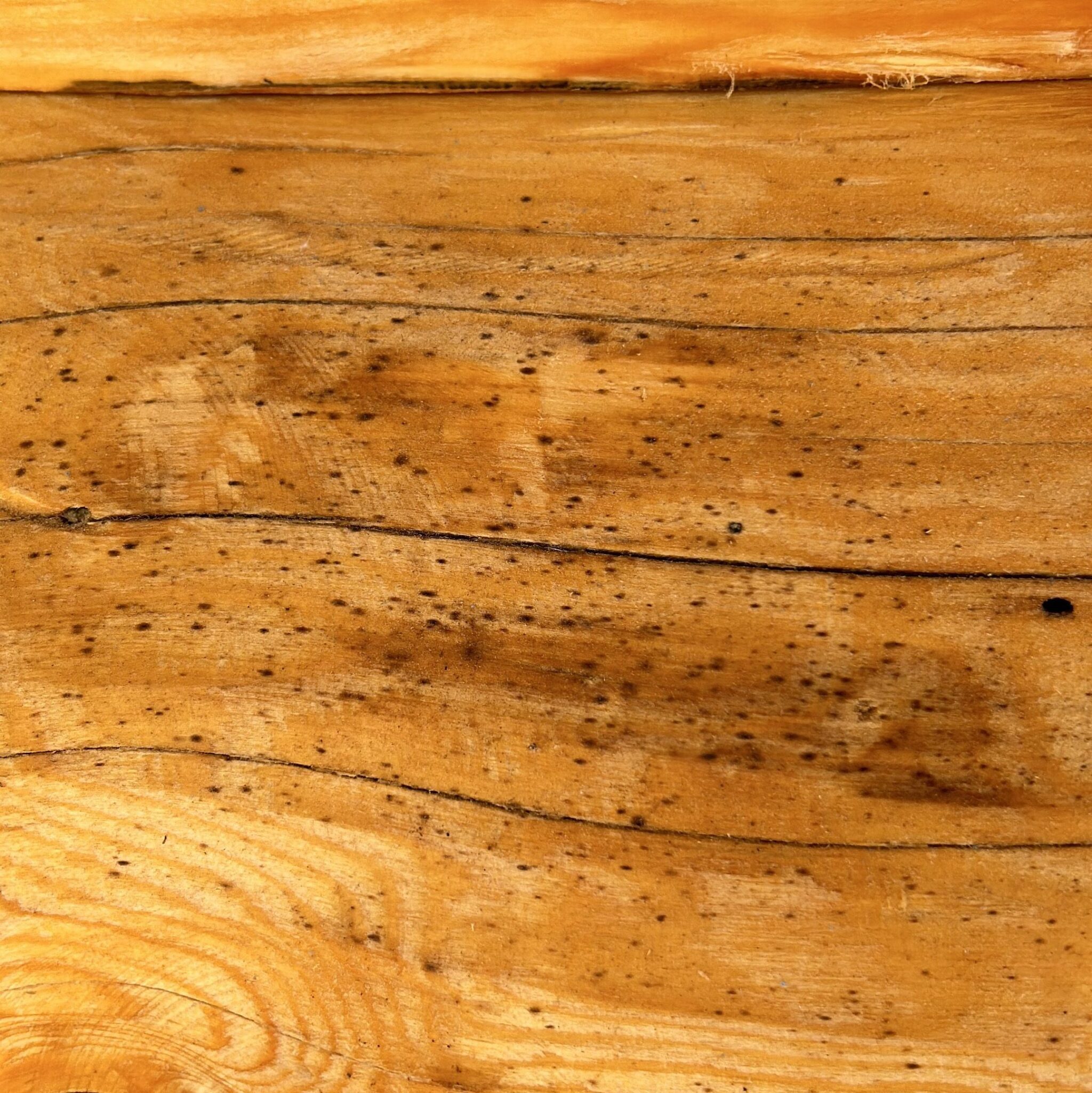 This image provided by a client. We can not confirm that this is a result of the Seal - It Green or improper application. At the time of this investigation and article, the SDS or Safety Data Sheet were not available online for their log home products.