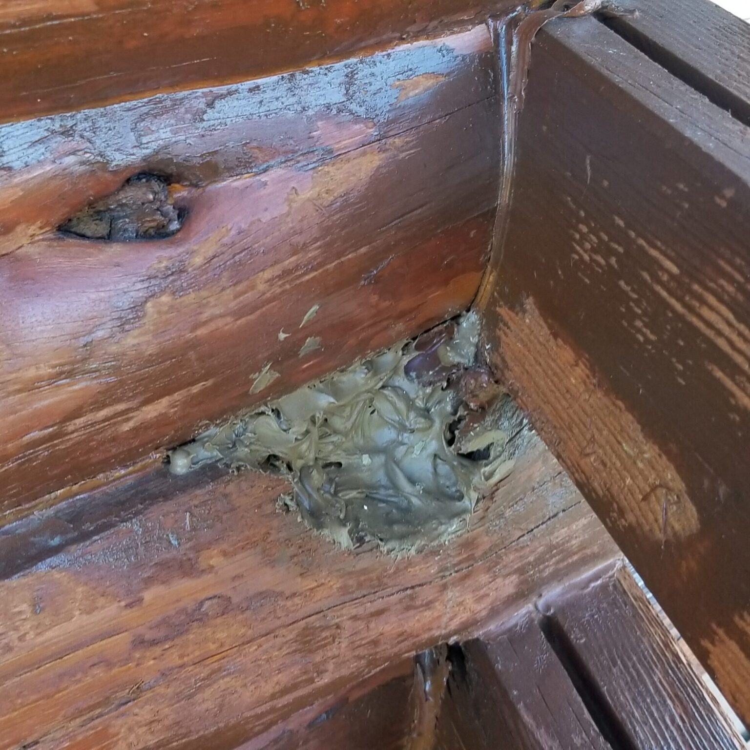 My Caulking Won't Dry! Log Masters Restorations Log Masters Restorations Blog Expert Tips for