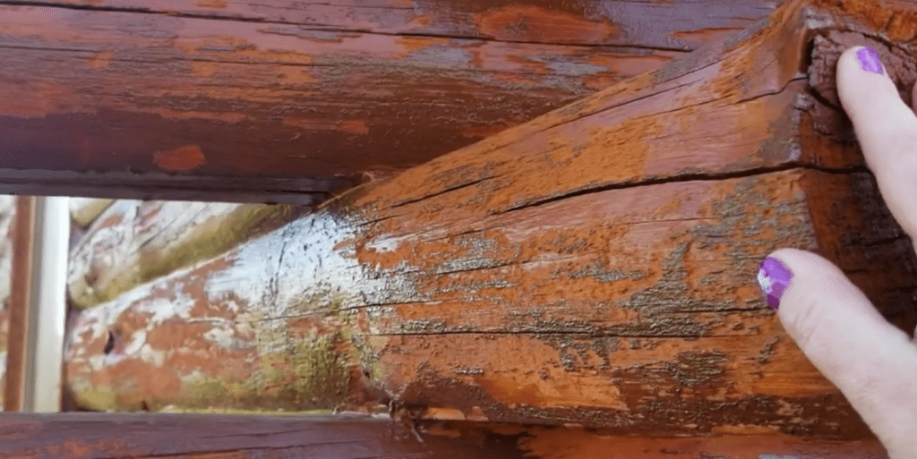 The log home surface of your logs should not look like this even after stain removal, much less after stain application.