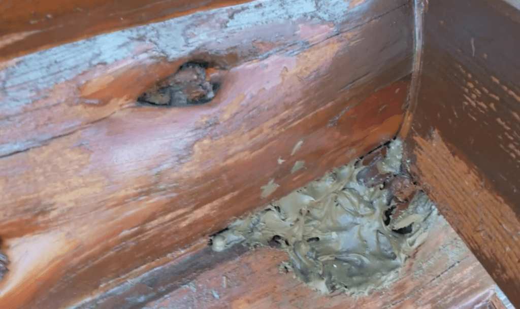 They even tried to fill in the log-rotted spots with unmatched caulking, ensuring further log rot.